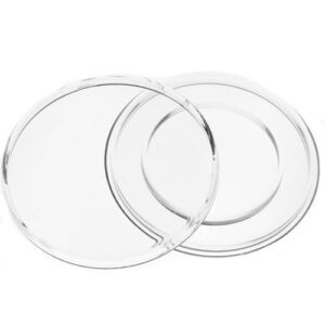 A pair of clear plates with one empty plate.